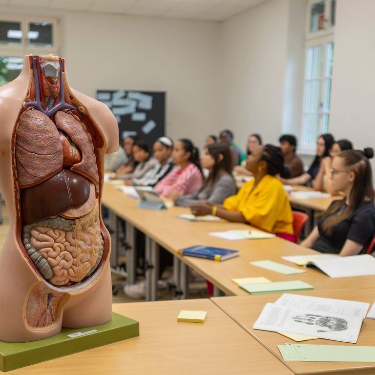 Im Klassenzimmer der Pflegeschule sitzen viele Azubis an Tischen. Auf den Tischen liegen Arbeitsblätter und Bücher. Vorne im Bild ist ein Modell eines menschlichen Torso zu sehen.