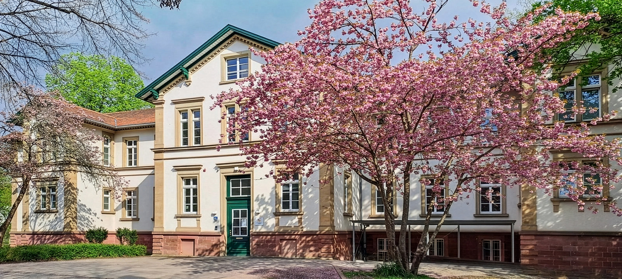 Schulgebäude der Berufsfachschule für Pflege Emmendingen im gepflegten Altbau mit großen, einladenden Fenstern und rosa blühenden Baum davor.